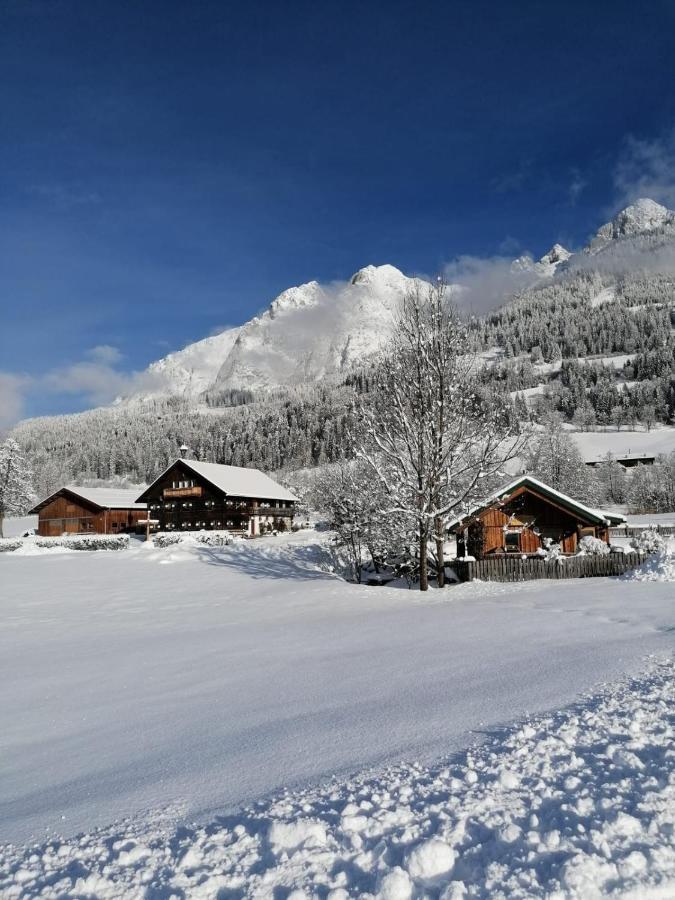 Bauernhof Lehengut Villa Pfarrwerfen Bagian luar foto