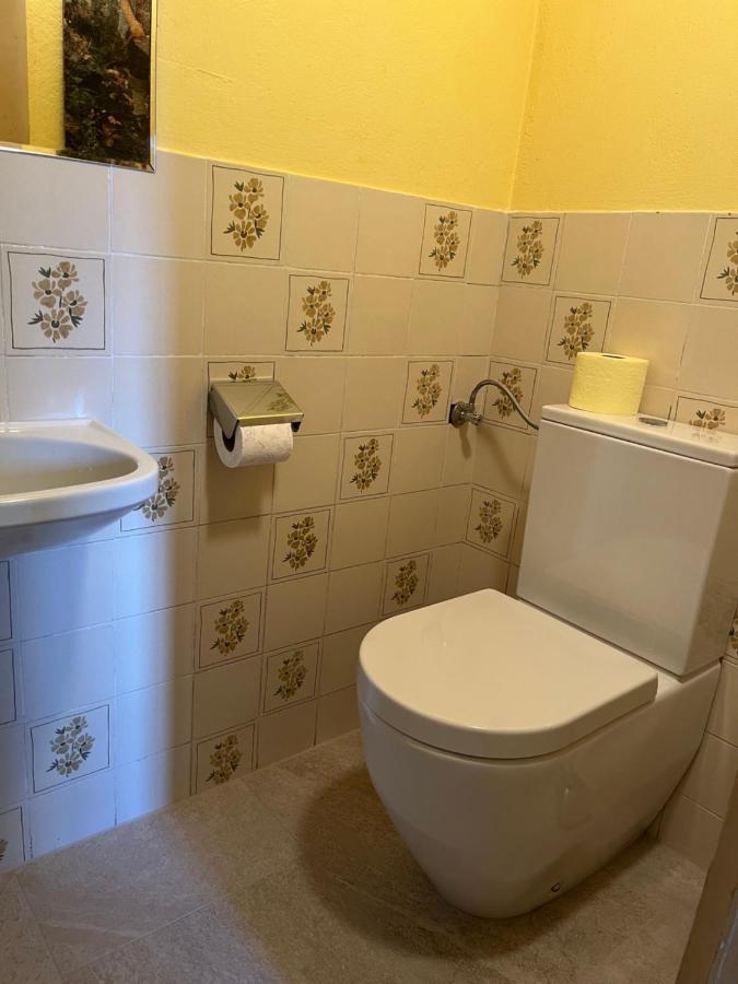 Bauernhof Lehengut Villa Pfarrwerfen Bagian luar foto